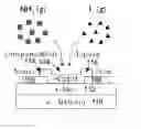 Fig. 01 - Doping-induced carrier density modulation in polymer field-effect transistors