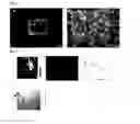 Fig. 05 - Cell-based electromechanical biocomputing