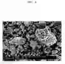 Fig. 05 - Composite anode active material, lithium battery including the same, and method of preparing the composite anode active material