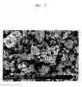 Fig. 06 - Composite anode active material, lithium battery including the same, and method of preparing the composite anode active material