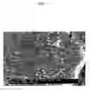 Fig. 08 - Composite anode active material, lithium battery including the same, and method of preparing the composite anode active material