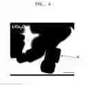 Fig. 04 - Cathode active material particles, lithium ion battery prepared by using the cathode active material particles, and method of preparing the cathode active material particles