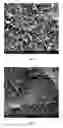 Fig. 03 - Stable catalyst ink formulations, methods of using such inks in fiber formation, and articles comprising such fibers