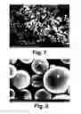 Fig. 07 - Metal oxide-carbon nanomaterial composite, method of preparing the same, catalyst, method of preparing the same, and catalyst layer for fuel cell electrodes