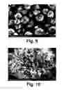 Fig. 08 - Metal oxide-carbon nanomaterial composite, method of preparing the same, catalyst, method of preparing the same, and catalyst layer for fuel cell electrodes