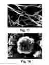 Fig. 09 - Metal oxide-carbon nanomaterial composite, method of preparing the same, catalyst, method of preparing the same, and catalyst layer for fuel cell electrodes
