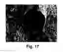 Fig. 12 - Metal oxide-carbon nanomaterial composite, method of preparing the same, catalyst, method of preparing the same, and catalyst layer for fuel cell electrodes