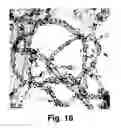 Fig. 13 - Metal oxide-carbon nanomaterial composite, method of preparing the same, catalyst, method of preparing the same, and catalyst layer for fuel cell electrodes