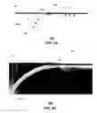 Fig. 07 - Transmission medium having multiple cores and methods for use therewith