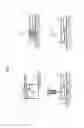 Fig. 02 - Laser Light Modules