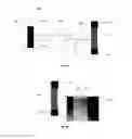 Fig. 11 - Direct write sensors