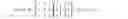 Fig. 08 - SYSTEM AND METHOD OF MIXED MULTIVARIATE DIGITAL SIGNATURE