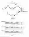 Fig. 11 - WIRELESS COMMUNICATION DEVICE, WIRELESS COMMUNICATION SYSTEM, WIRELESS COMMUNICATION METHOD, AND NON-TRANSITORY COMPUTER READABLE MEDIUM