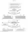 Fig. 10 - Method and device for receiving a multimedia broadcast multicast service in a mobile communication system