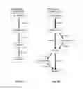 Fig. 06 - Method for determining parallel process paths in process data