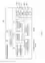 Fig. 09 - RAN for multimedia delivery