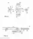 Fig. 03 - Simplified packet routing