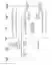 Fig. 08 - Characteristics of security associations
