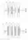 Fig. 05 - Systems and methods for detecting and preventing spoofing