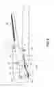 Fig. 04 - Decoloring apparatus