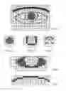 Fig. 03 - Partial face detector red-eye filter method and apparatus