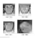 Fig. 08 - Partial face detector red-eye filter method and apparatus