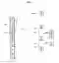 Fig. 10 - Apparatus for correcting image distortion of lens