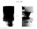 Fig. 23 - Display device