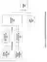 Fig. 07 - Perceptual optimization for model-based video encoding