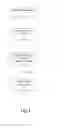 Fig. 02 - Validation of content