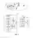 Fig. 02 - HE SIG B common field formats and indication