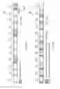 Fig. 07 - Telecommunications apparatus and methods
