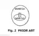 Fig. 03 - METHOD, USER EQUIPMENT, MASTER EVOLVED NODE B AND COMMUNICATION SYSTEM FOR DUAL CONNECTIVITY