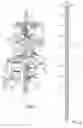 Fig. 02 - GARDEN STAKE FOR SECURING PLANTS