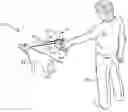 Fig. 01 - Leash training device and a method of using the same to train a domesticated animal