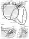 Fig. 04 - Leash training device and a method of using the same to train a domesticated animal
