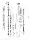 Fig. 12 - ANIMAL MODELS AND THERAPEUTIC MOLECULES