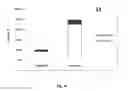 Fig. 46 - ANIMAL MODELS AND THERAPEUTIC MOLECULES