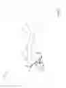 Fig. 04 - Fish Hook System