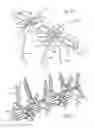 Fig. 07 - Bird Spike With Plastic Base Having Upper Recesses