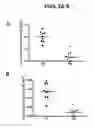 Fig. 03 - Methods and compositions for vein harvest and autografting