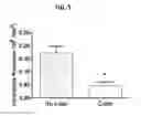 Fig. 06 - Methods and compositions for vein harvest and autografting