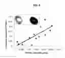 Fig. 09 - Methods and compositions for vein harvest and autografting