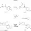 Fig. 153 - Insecticidal compounds