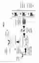 Fig. 13 - COMPOSITIONS FOR MOSQUITO CONTROL AND USES OF SAME