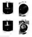 Fig. 02 - Plant-based compositions and uses thereof