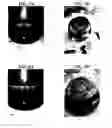 Fig. 04 - Plant-based compositions and uses thereof
