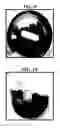 Fig. 06 - Plant-based compositions and uses thereof