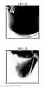 Fig. 07 - Plant-based compositions and uses thereof