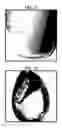 Fig. 08 - Plant-based compositions and uses thereof